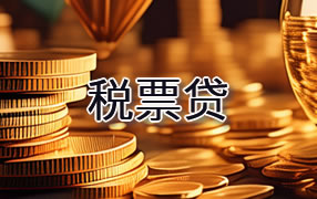 百色税票贷